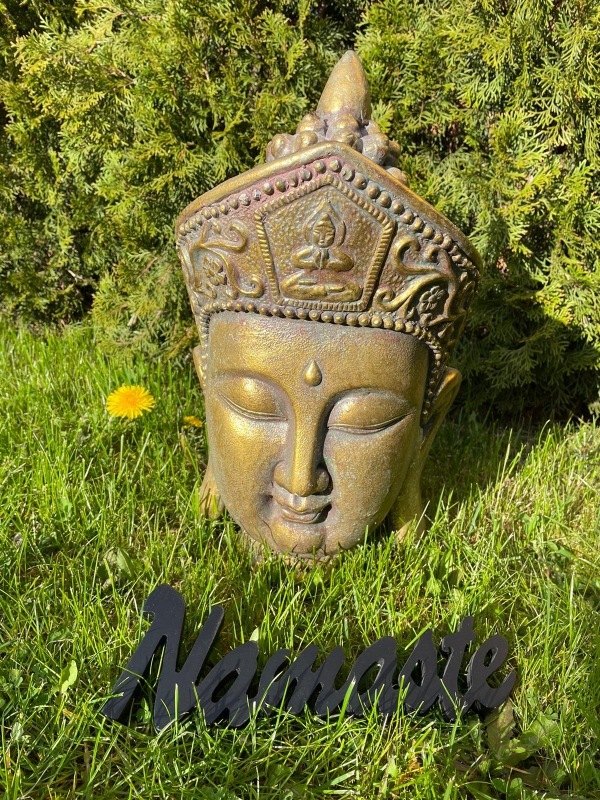 Wirkungen von Yoga