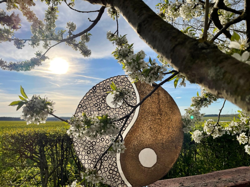 Yin und Yang: Ausbildungen und Befähigungen